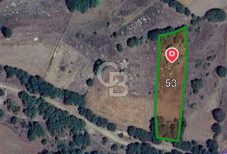 ÇANAKKALE LAPSEKİ BEYÇAYIR KÖYÜ SATILIK 2967 m2 SATILIK ARSA - 2 - 331100