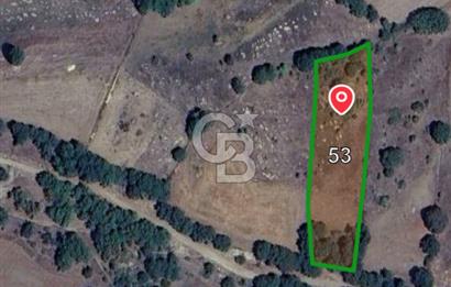 ÇANAKKALE LAPSEKİ BEYÇAYIR KÖYÜ SATILIK 2967 m2 SATILIK ARSA