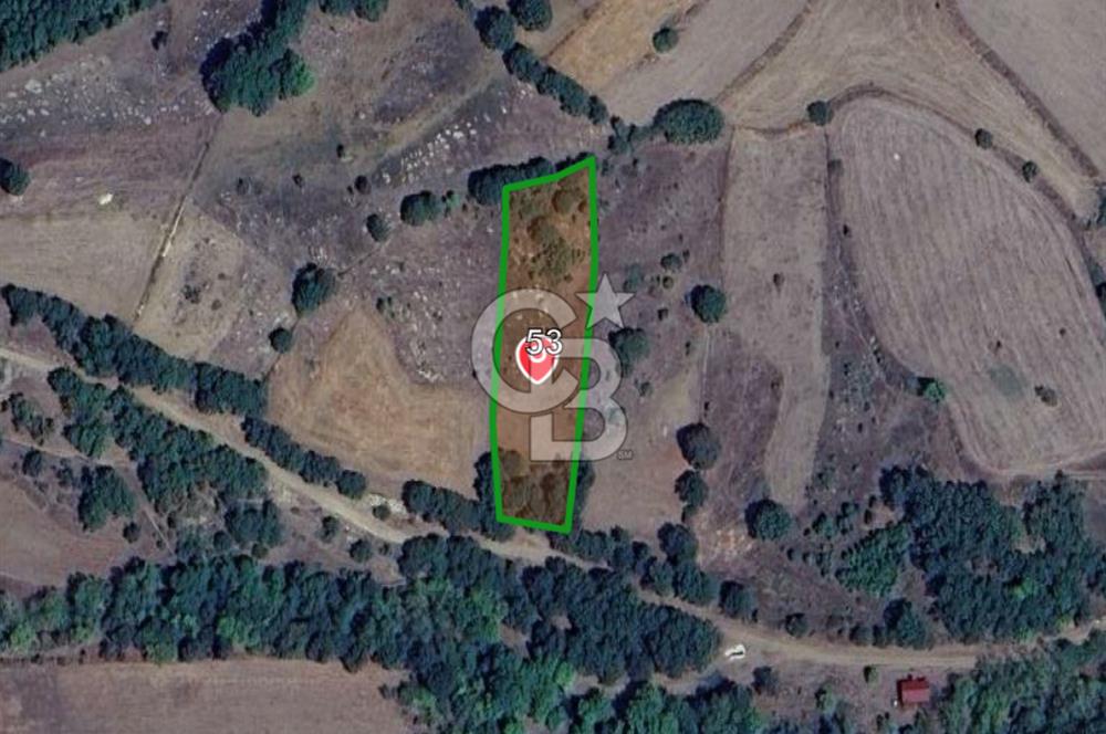 ÇANAKKALE LAPSEKİ BEYÇAYIR KÖYÜ SATILIK 2967 m2 SATILIK ARSA