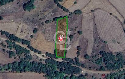 ÇANAKKALE LAPSEKİ BEYÇAYIR KÖYÜ SATILIK 2967 m2 SATILIK ARSA