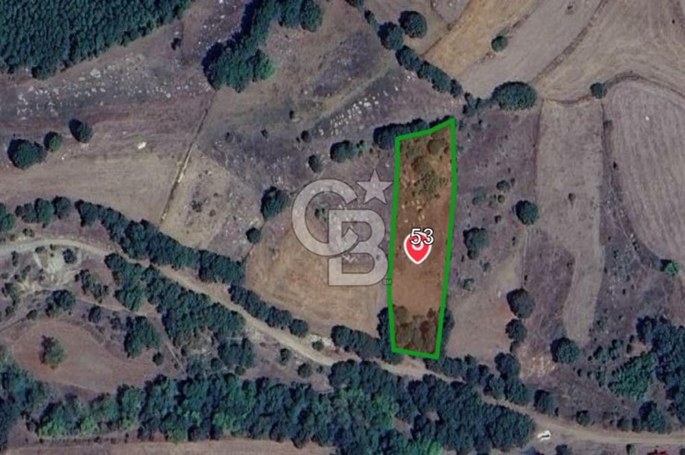 ÇANAKKALE LAPSEKİ BEYÇAYIR KÖYÜ SATILIK 2967 m2 SATILIK ARSA