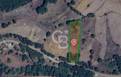 ÇANAKKALE LAPSEKİ BEYÇAYIR KÖYÜ SATILIK 2967 m2 SATILIK ARSA