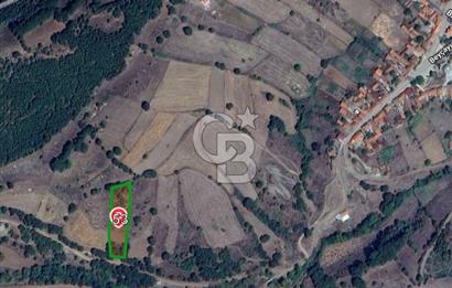 ÇANAKKALE LAPSEKİ BEYÇAYIR KÖYÜ SATILIK 2967 m2 SATILIK ARSA