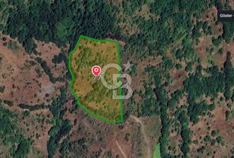 ÇANAKKALE BİGA KAZMALI KÖYÜ SATILIK 7606 m2 ARAZİ - 2 - 331134