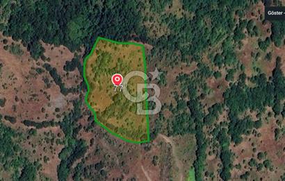 ÇANAKKALE BİGA KAZMALI KÖYÜ SATILIK 7606 m2 ARAZİ