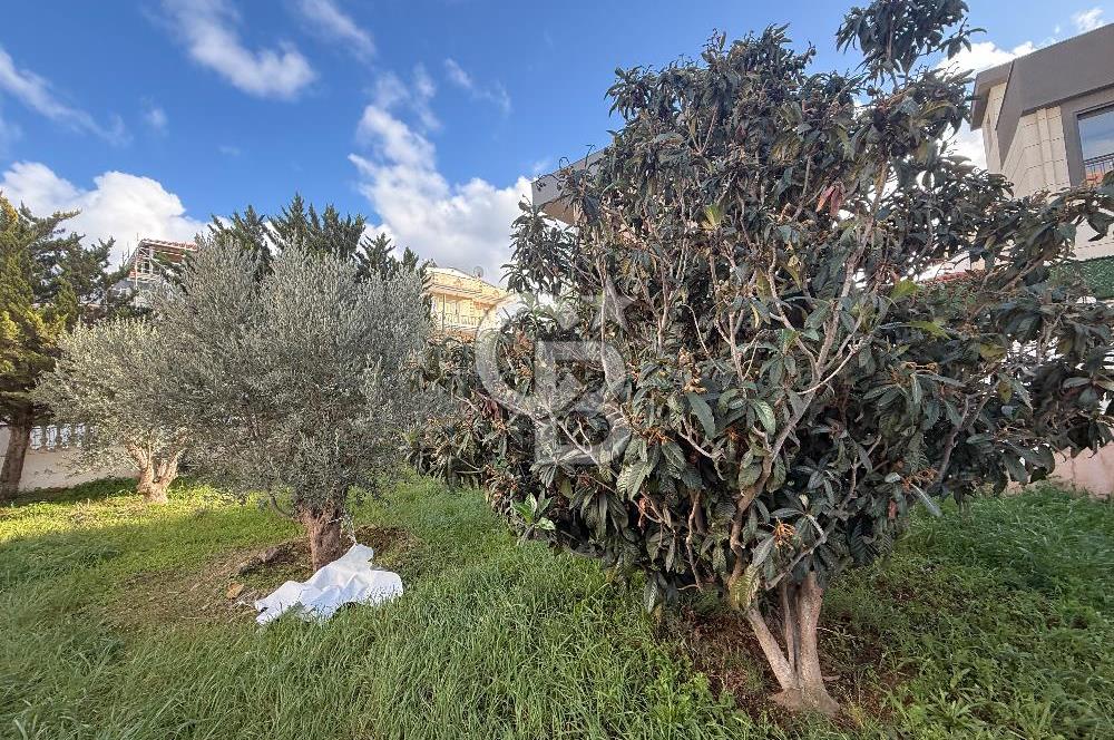 Seferihisar Akarca’da Satılık Villa Arsası