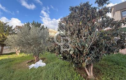 Seferihisar Akarca’da Satılık Villa Arsası