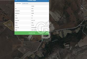 ANKARA AYAŞ BAYAT TEK TAPU 9231M2 - 4 - 331172