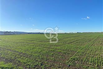 SİLİVRİ SELİMPAŞA'DA OSB'YE KOMŞU İKİZ VİLLA İMARLI SATILIK ARSA - 1 - 331180