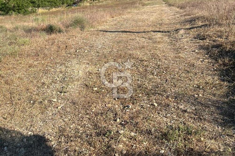 İZNİK DERBENT'TE GÖL MANZARALI YOLU OLAN SATILIK TARLA