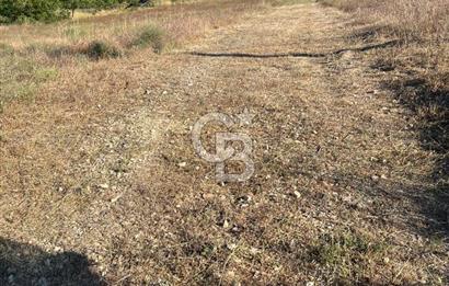 İZNİK DERBENT'TE GÖL MANZARALI YOLU OLAN SATILIK TARLA