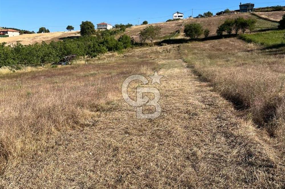 İZNİK DERBENT'TE GÖL MANZARALI YOLU OLAN SATILIK TARLA