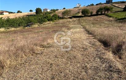 İZNİK DERBENT'TE GÖL MANZARALI YOLU OLAN SATILIK TARLA