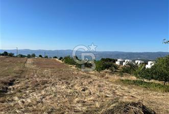 İZNİK DERBENT'TE GÖL MANZARALI YOLU OLAN SATILIK TARLA - 3 - 331133