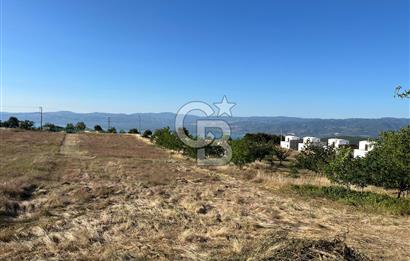 İZNİK DERBENT'TE GÖL MANZARALI YOLU OLAN SATILIK TARLA