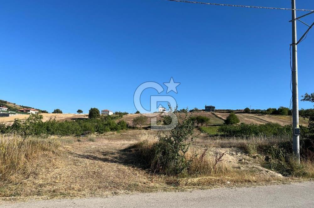 İZNİK DERBENT'TE GÖL MANZARALI YOLU OLAN SATILIK TARLA