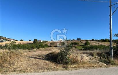 İZNİK DERBENT'TE GÖL MANZARALI YOLU OLAN SATILIK TARLA