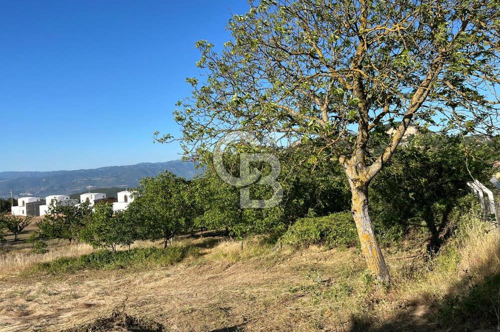 İZNİK DERBENT'TE GÖL MANZARALI YOLU OLAN SATILIK TARLA