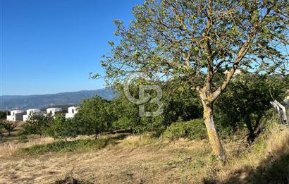 İZNİK DERBENT'TE GÖL MANZARALI YOLU OLAN SATILIK TARLA