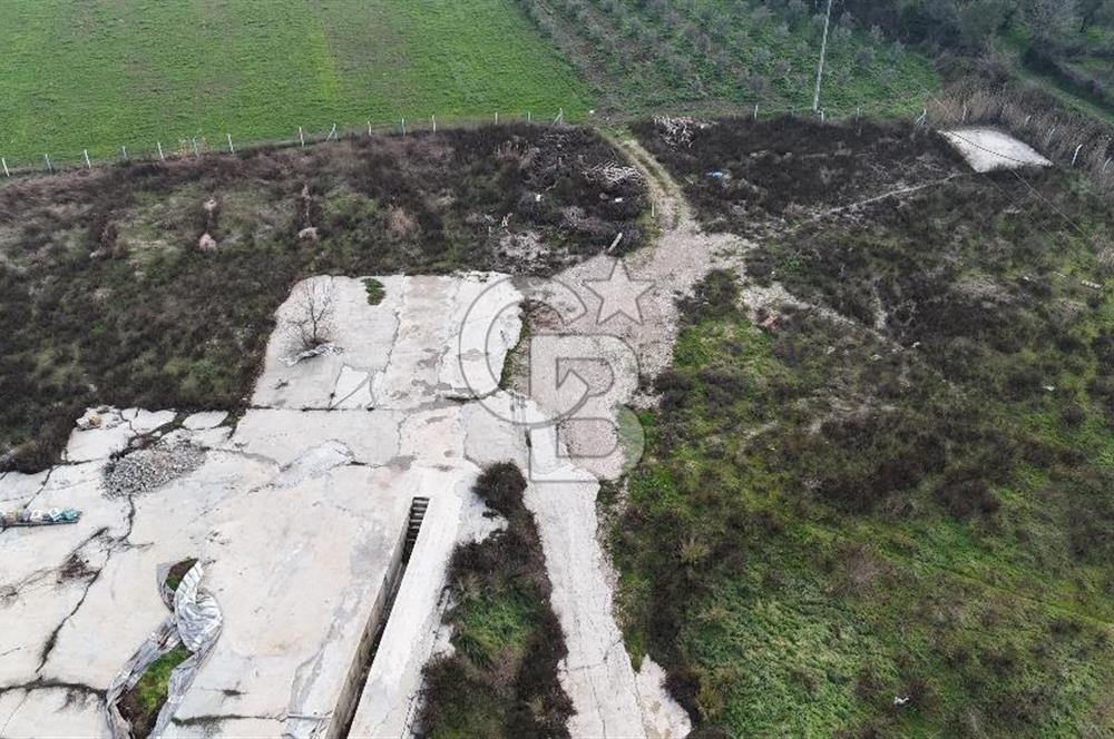 Manisa Organize Sanayi Bölgesi Emlakdere Sınırında Satılık Tarla