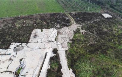 Manisa Organize Sanayi Bölgesi Emlakdere Sınırında Satılık Tarla