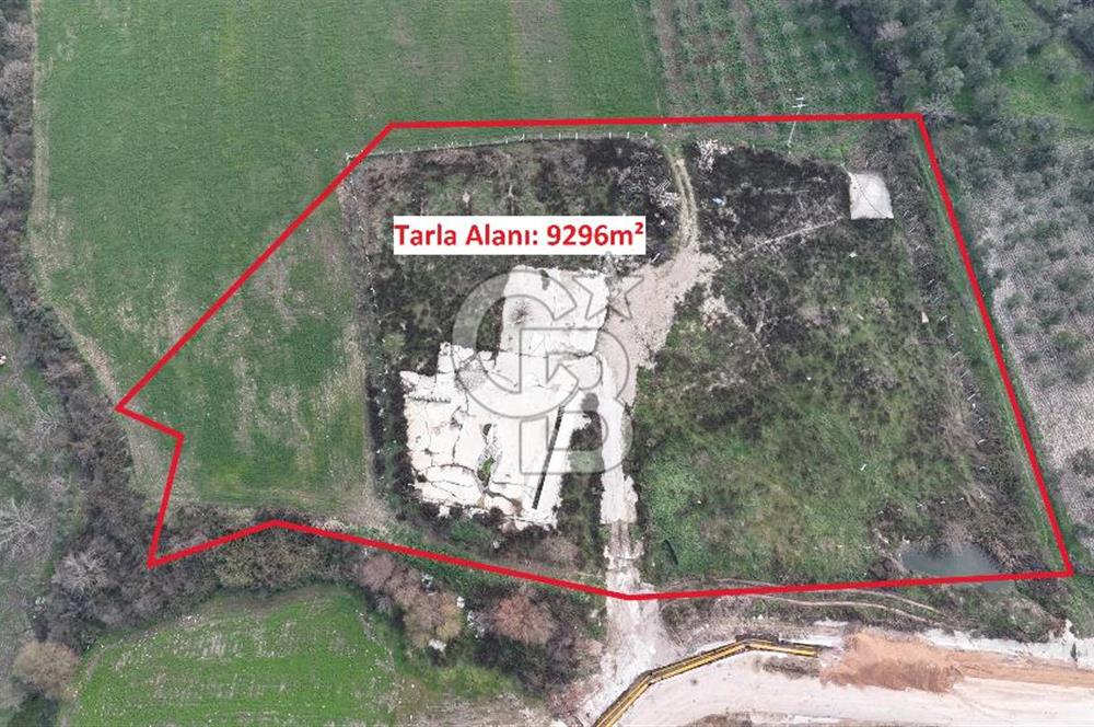 Manisa Organize Sanayi Bölgesi Emlakdere Sınırında Satılık Tarla