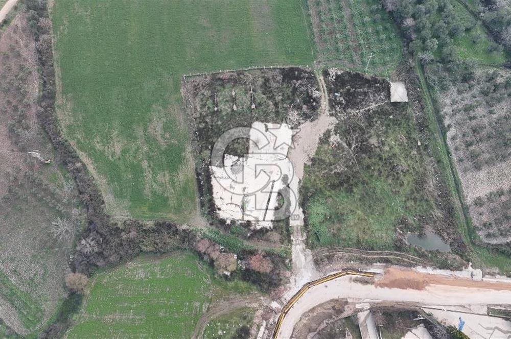 Manisa Organize Sanayi Bölgesi Emlakdere Sınırında Satılık Tarla