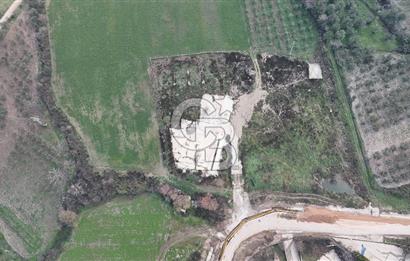 Manisa Organize Sanayi Bölgesi Emlakdere Sınırında Satılık Tarla