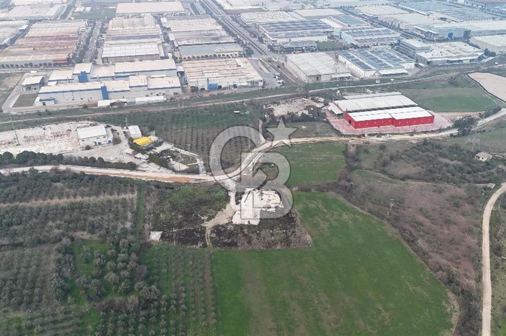 Manisa Organize Sanayi Bölgesi Emlakdere Sınırında Satılık Tarla