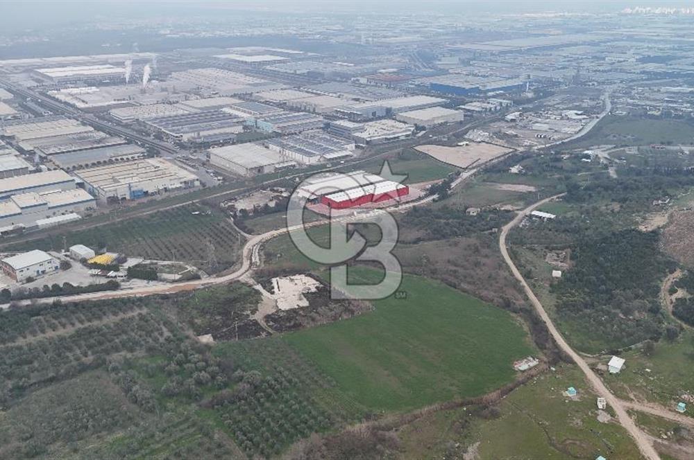 Manisa Organize Sanayi Bölgesi Emlakdere Sınırında Satılık Tarla