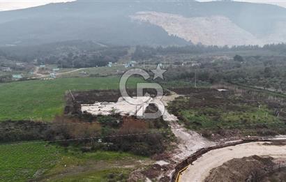 Manisa Organize Sanayi Bölgesi Emlakdere Sınırında Satılık Tarla