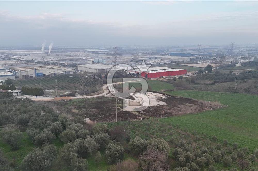 Manisa Organize Sanayi Bölgesi Emlakdere Sınırında Satılık Tarla