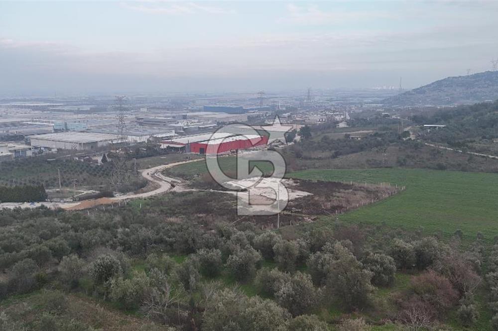 Manisa Organize Sanayi Bölgesi Emlakdere Sınırında Satılık Tarla