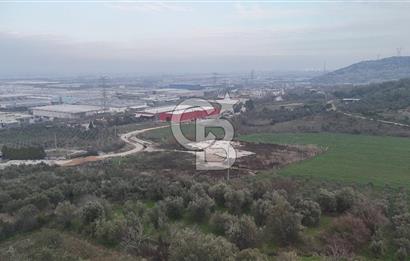 Manisa Organize Sanayi Bölgesi Emlakdere Sınırında Satılık Tarla