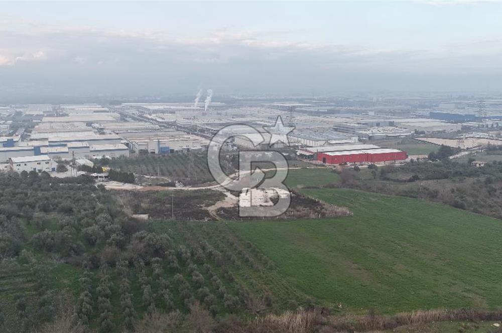 Manisa Organize Sanayi Bölgesi Emlakdere Sınırında Satılık Tarla