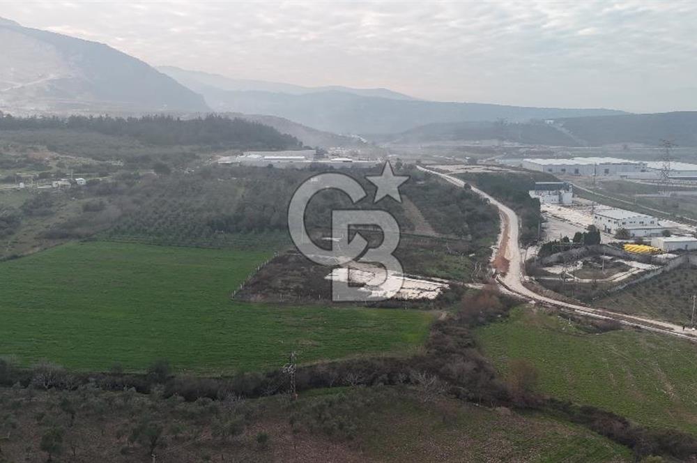 Manisa Organize Sanayi Bölgesi Emlakdere Sınırında Satılık Tarla