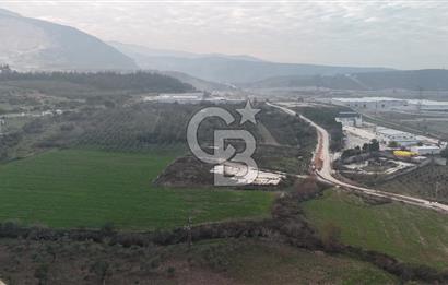 Manisa Organize Sanayi Bölgesi Emlakdere Sınırında Satılık Tarla