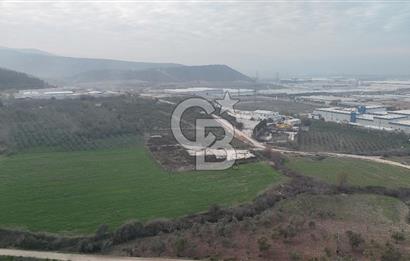 Manisa Organize Sanayi Bölgesi Emlakdere Sınırında Satılık Tarla