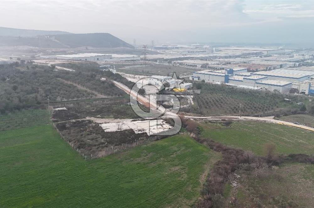 Manisa Organize Sanayi Bölgesi Emlakdere Sınırında Satılık Tarla