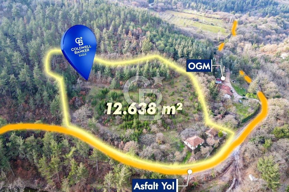 CB EAGLE'dan DURSUNBEY SARNIÇ'DA 12.638 m² SATILIK TARLA
