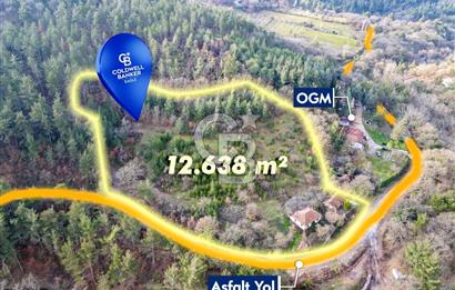 CB EAGLE'dan DURSUNBEY SARNIÇ'DA 12.638 m² SATILIK TARLA