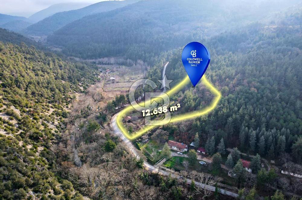 CB EAGLE'dan DURSUNBEY SARNIÇ'DA 12.638 m² SATILIK TARLA