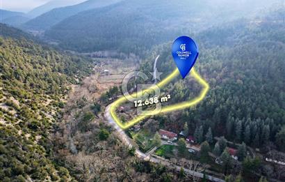 CB EAGLE'dan DURSUNBEY SARNIÇ'DA 12.638 m² SATILIK TARLA