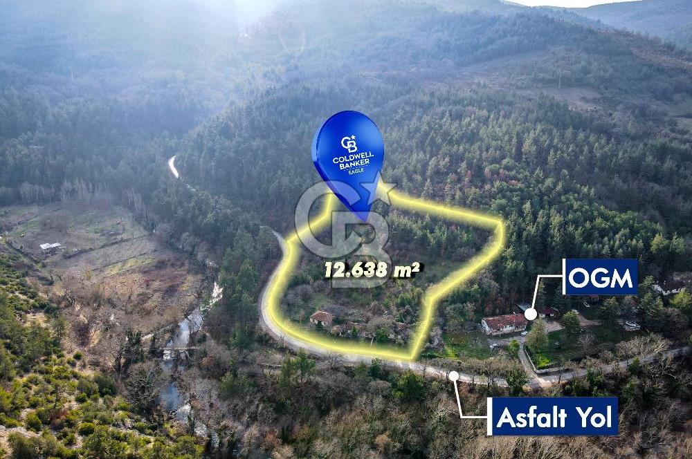 CB EAGLE'dan DURSUNBEY SARNIÇ'DA 12.638 m² SATILIK TARLA