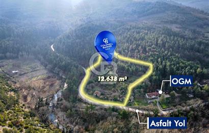 CB EAGLE'dan DURSUNBEY SARNIÇ'DA 12.638 m² SATILIK TARLA