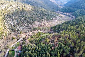 CB EAGLE'dan DURSUNBEY SARNIÇ'DA 12.638 m² SATILIK TARLA - 2 - 331154