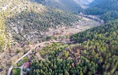 CB EAGLE'dan DURSUNBEY SARNIÇ'DA 12.638 m² SATILIK TARLA