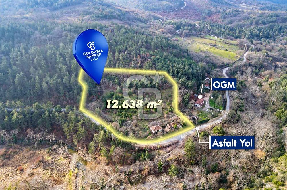 CB EAGLE'dan DURSUNBEY SARNIÇ'DA 12.638 m² SATILIK TARLA