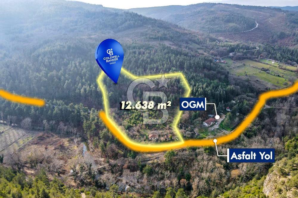 CB EAGLE'dan DURSUNBEY SARNIÇ'DA 12.638 m² SATILIK TARLA