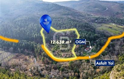 CB EAGLE'dan DURSUNBEY SARNIÇ'DA 12.638 m² SATILIK TARLA